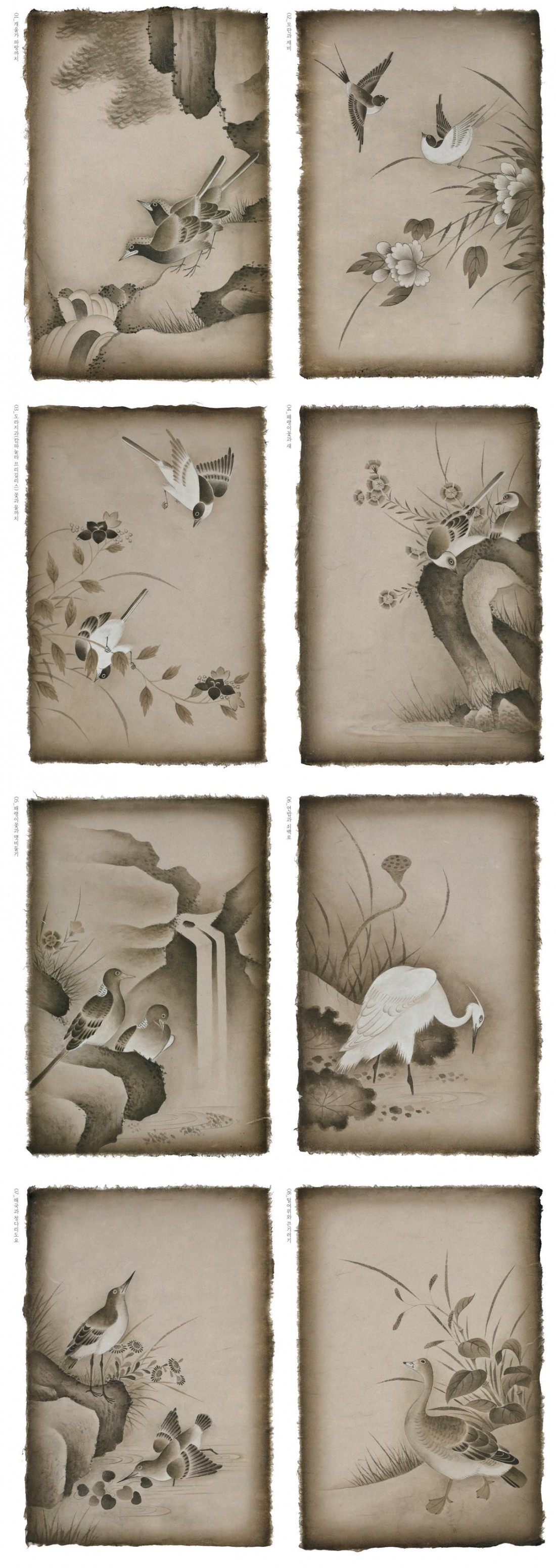 e09c6279ea6b89d7cc4c4deb8bdba571_1765176520_7072.jpg e09c6279ea6b89d7cc4c4deb8bdba571_1765176520_7072.jpg